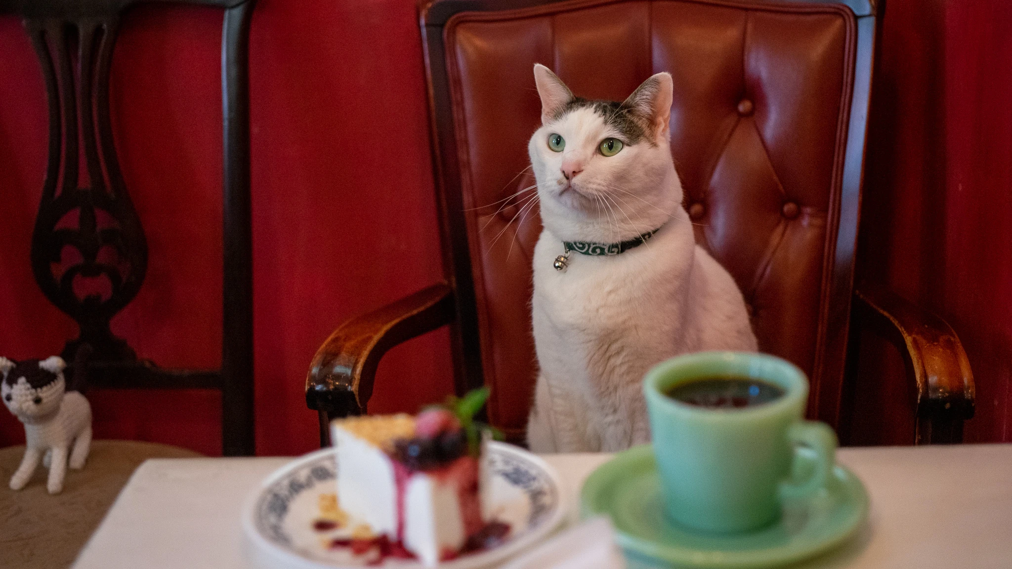 &ldquo;カフェーマル&rdquo;