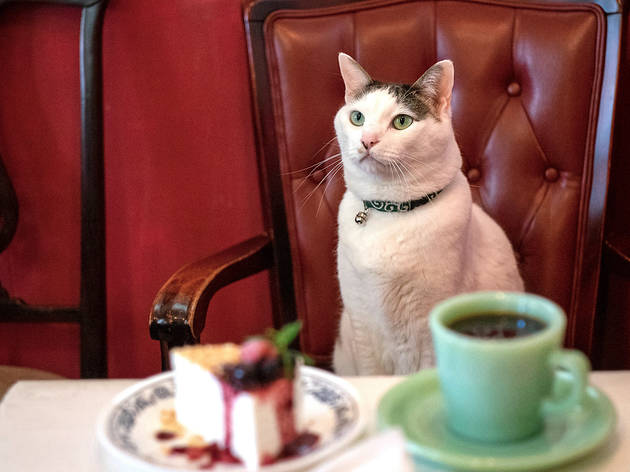 カフェーマル カフェーマル