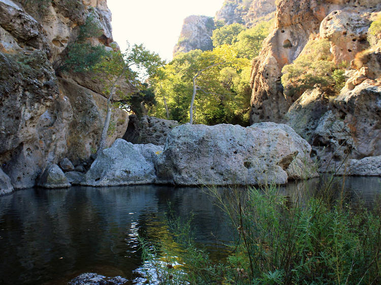 Malibu Creek Rock Pool