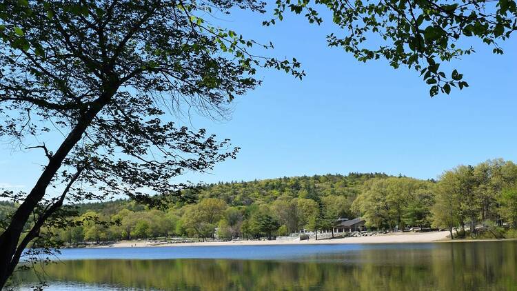 Blue Hills Reservation