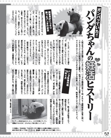 週刊誌風の記事もユニーク