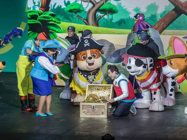 Paw Patrol Paw Patrol