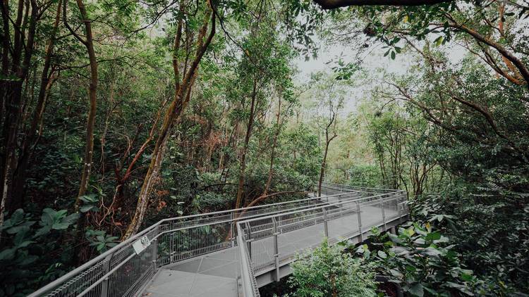 The best kid-friendly hiking trails in Singapore for the family