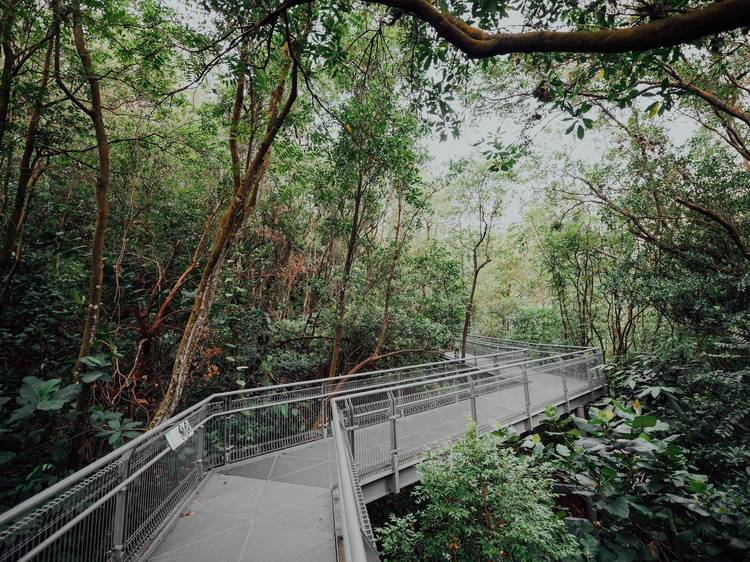 The best kid-friendly hiking trails in Singapore for the family