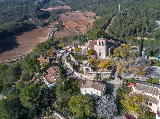 Olivella Olivella, Garraf