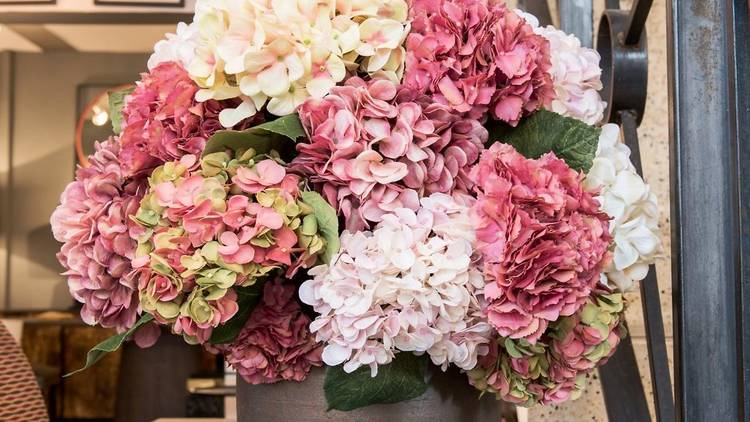 Mixed hydrangea arrangement in earthenware vessel 