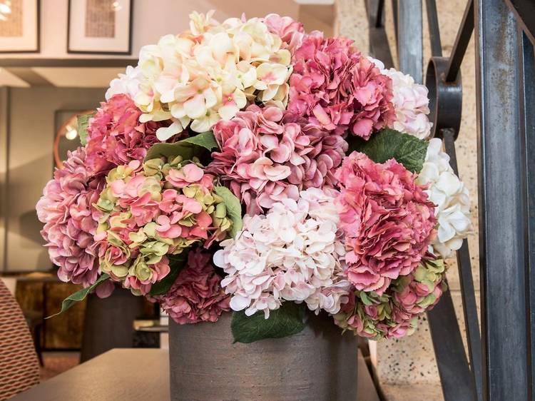 Mixed hydrangea arrangement in earthenware vessel 