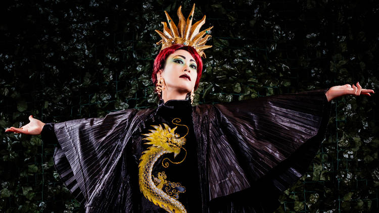 Pacific Opera and Willoughby Symphony present The Magic Flute Pocket Opera