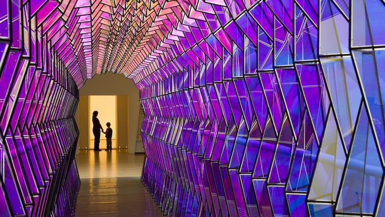 Color-drenched immersive experiences