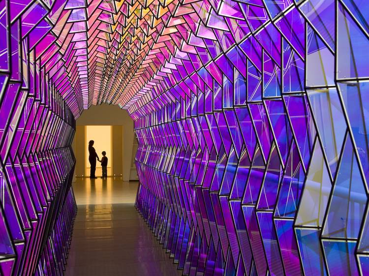 Color-drenched immersive experiences