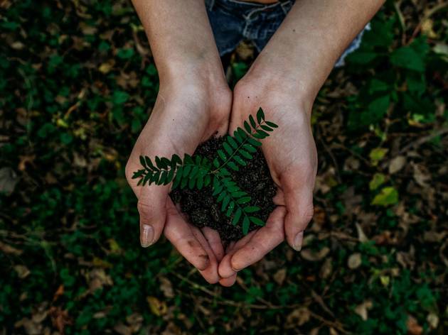 Photo by Noah Buscher on Unsplash Photo by Noah Buscher on Unsplash