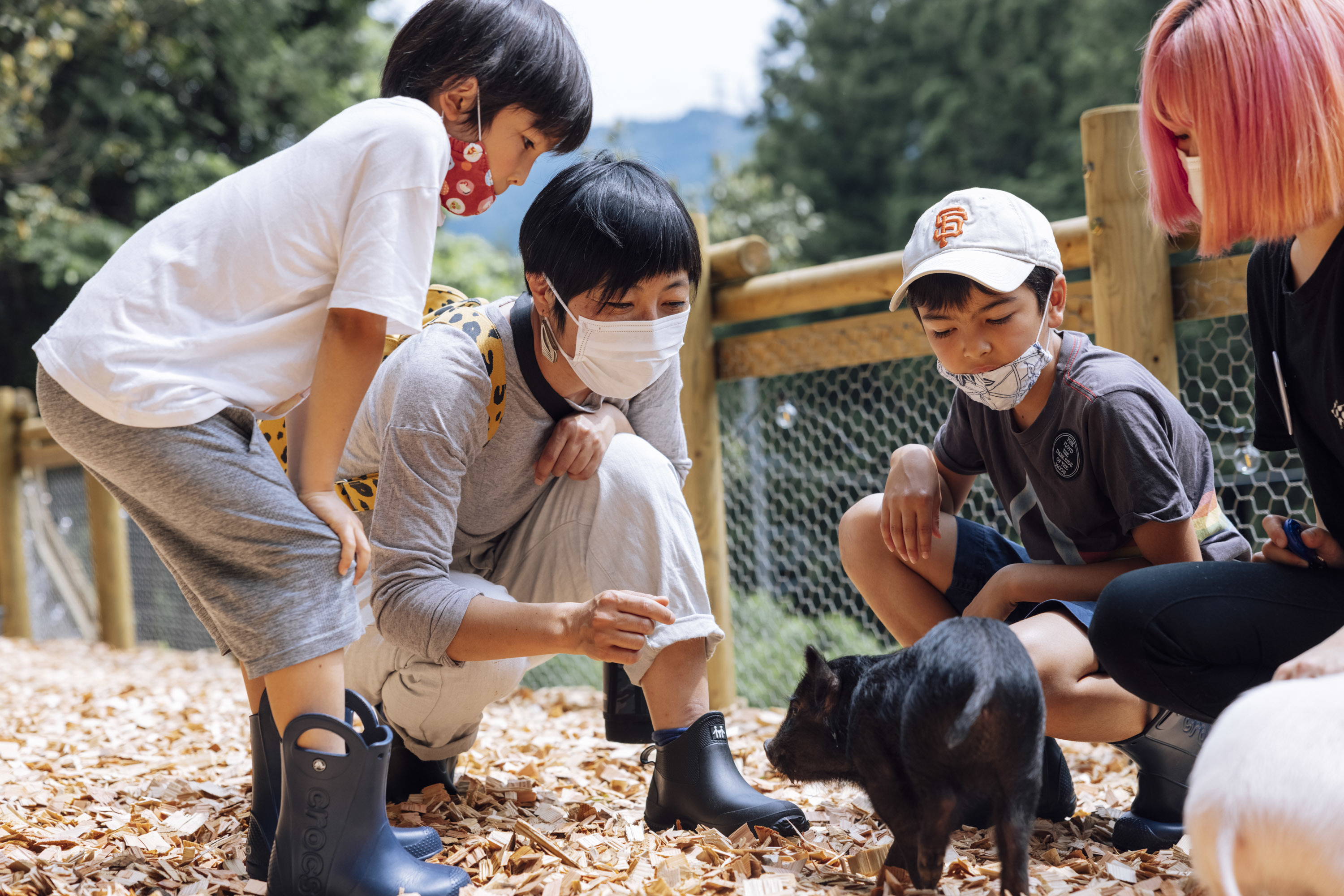 ピグニックファームアンドカフェ