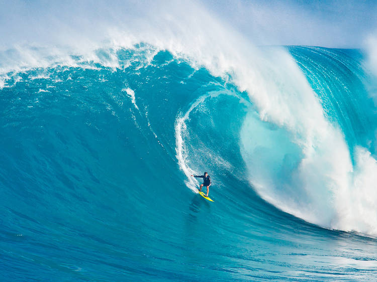 Hawaii Lifeguard Surf Instructors