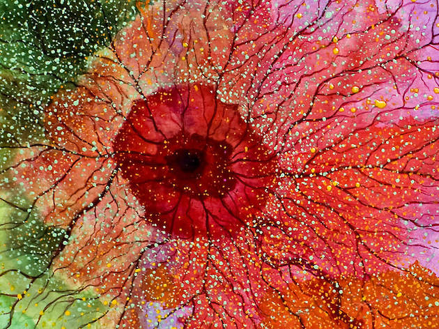 Flowers, de Manuel Valência Flowers, de Manuel Valência