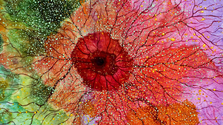 Flowers, de Manuel Valência Flowers, de Manuel Valência