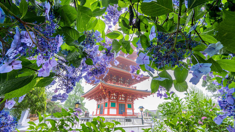  genki/PIXTA | Takahata Fudoson Temple