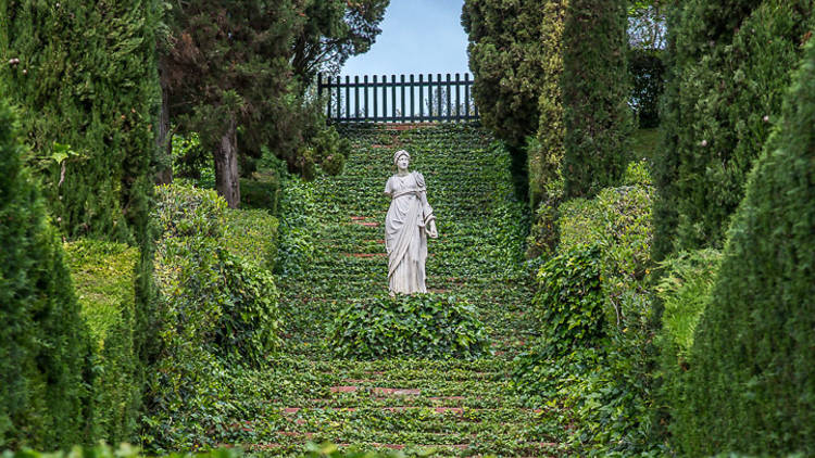 Oasis verdes cerca del mar