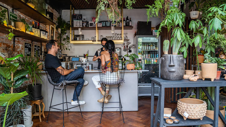 Boo'la, la tienda de plantitas, café y barra de spritz en la Condesa