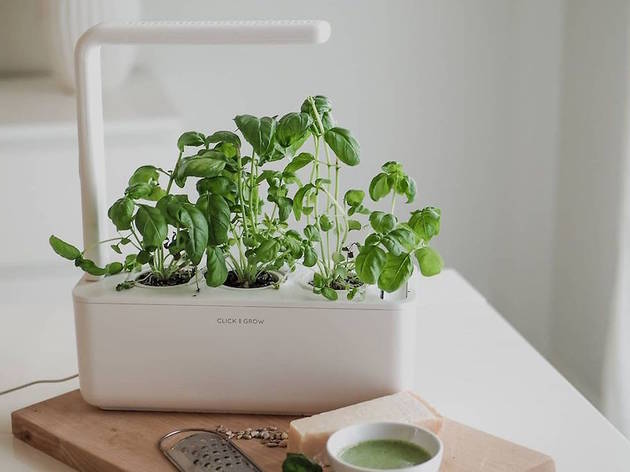 Click and Grow Click and Grow