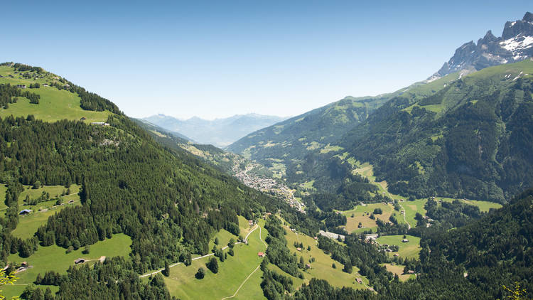 Lush green hills in the Dents du Midi region.