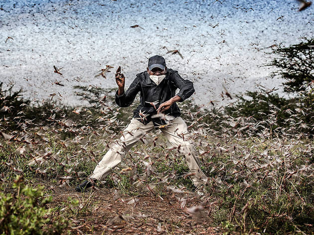 World Press Photo 2021 Fighting Locust Invasion in East Africa