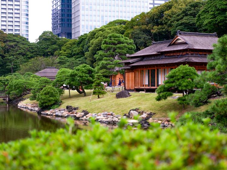 7 most beautiful Japanese gardens in Tokyo