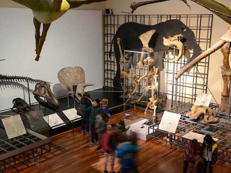 Museos para ir con niños en Madrid