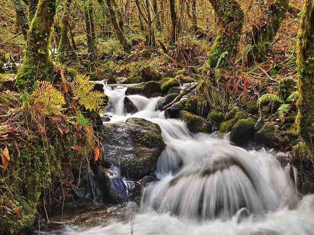Fragas do Eume (foto: Shutterstock) Fragas do Eume (foto: Shutterstock)