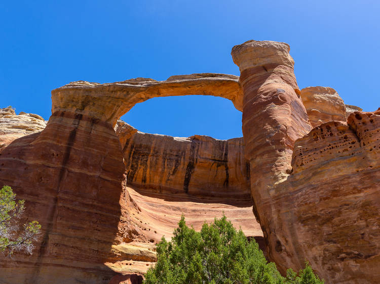 Explore the McInnis Canyons National Conservation Area