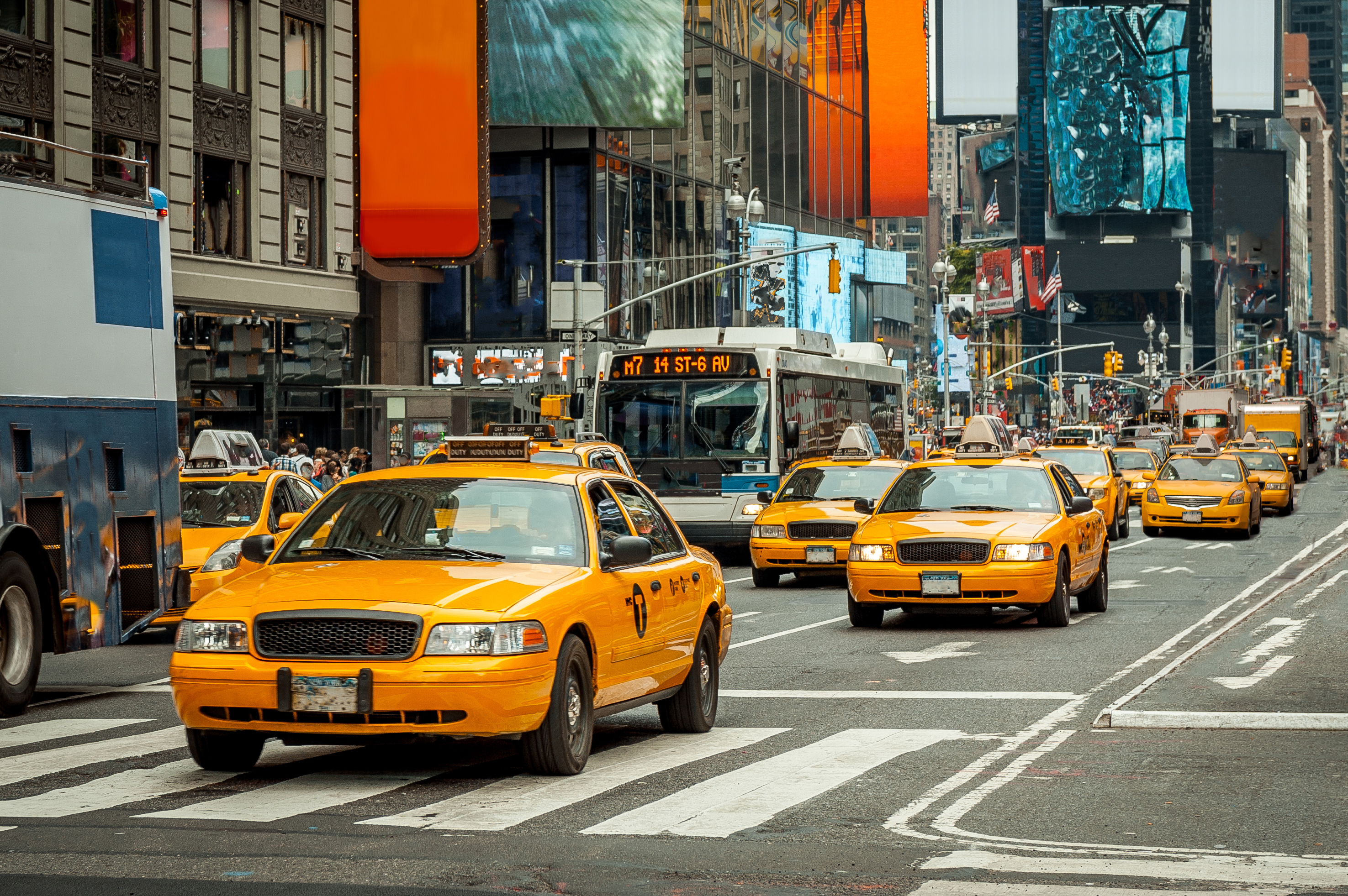 can dogs ride in nyc taxis