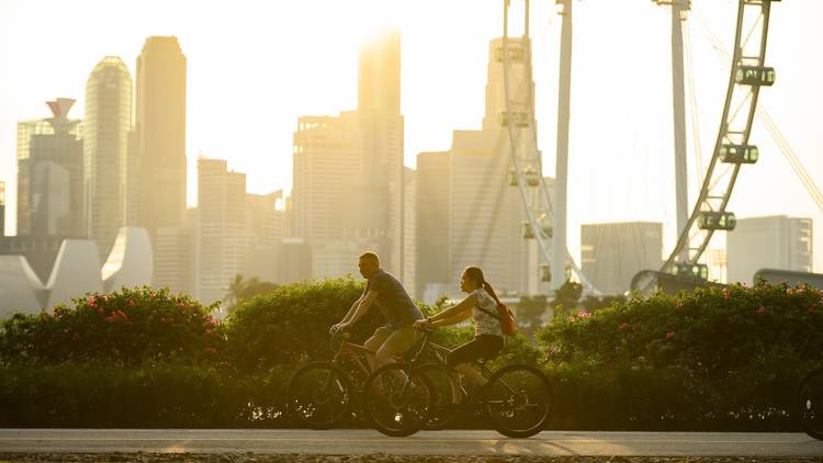 Cycling in Singapore 