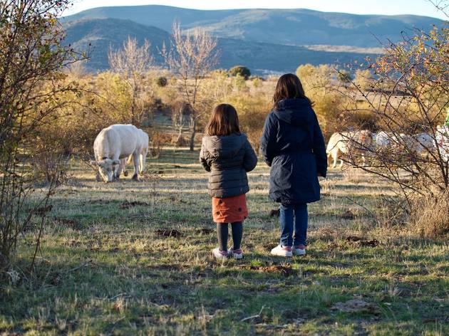 El Capriolo El Capriolo