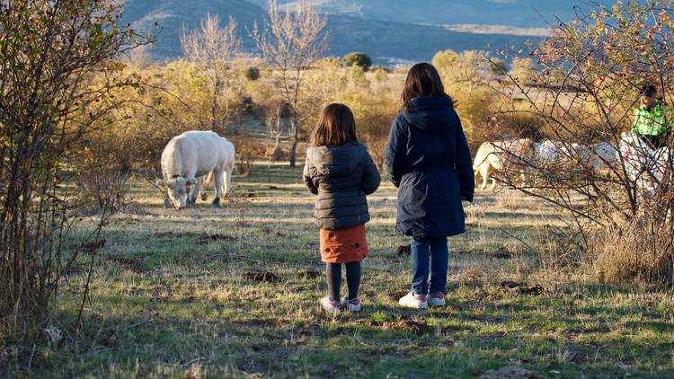 Agroturismo en el Capriolo