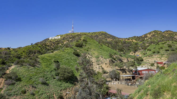 Sunset Ranch Hollywood