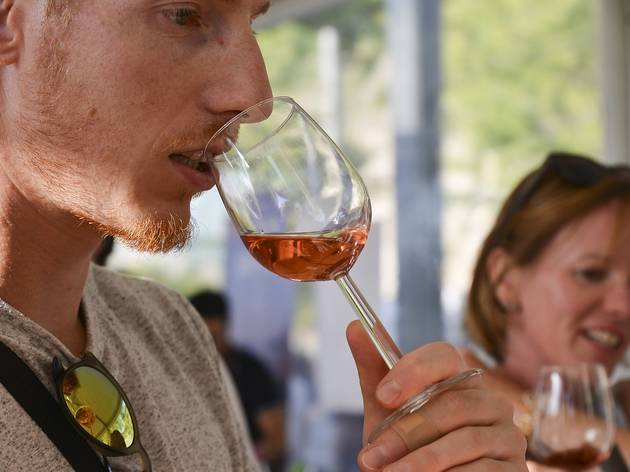 Summer Wine Market Summer Wine Market