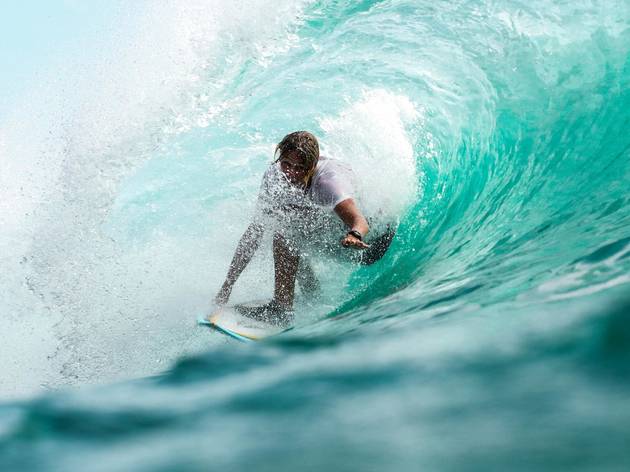 surf surf