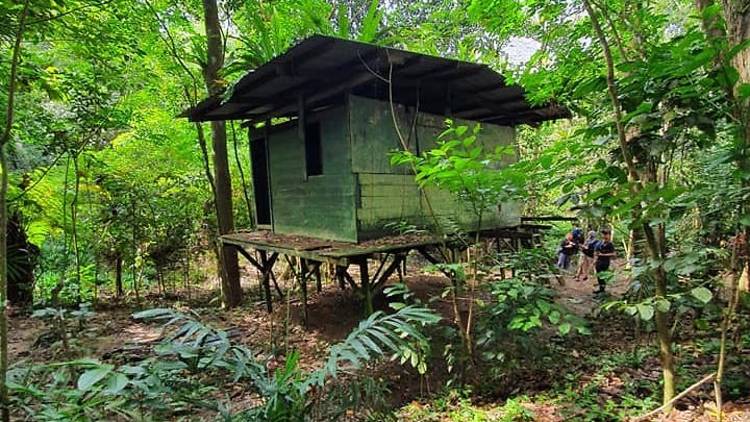 Hut in Chestnut Nature Park 