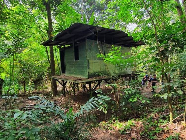Abandoned hut at Chestnut Nature Park