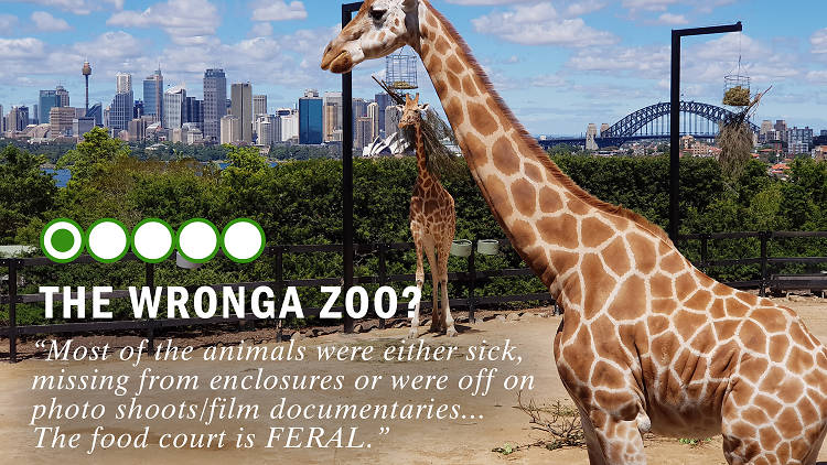 Taronga Zoo