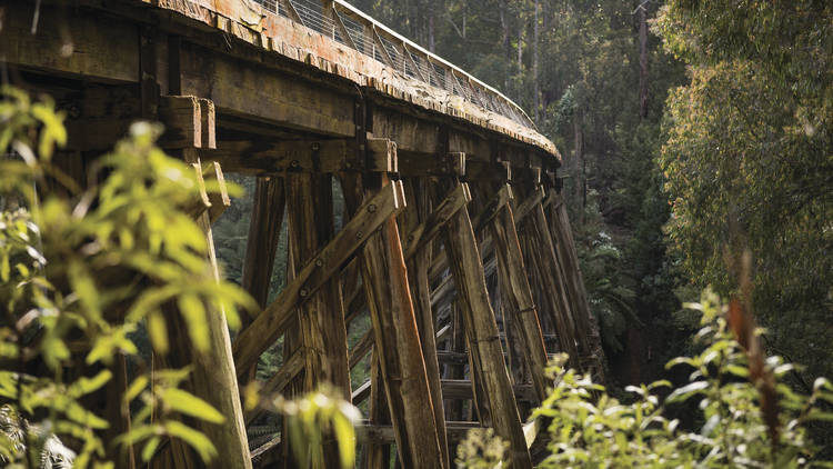 Noojee Trestle Bridge