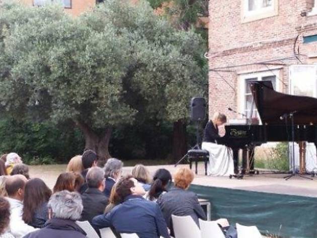 Las Noches del Olivar Las Noches del Olivar