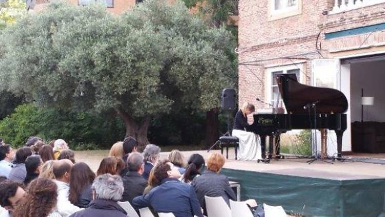 Las Noches del Olivar Las Noches del Olivar