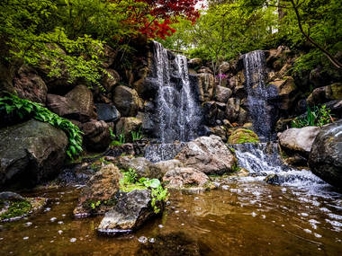 Find your zen in the Anderson Japanese Gardens Find your zen in the Anderson Japanese Gardens