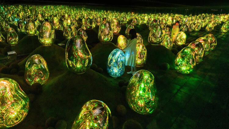 10am: Immerse yourself at teamLab Planets