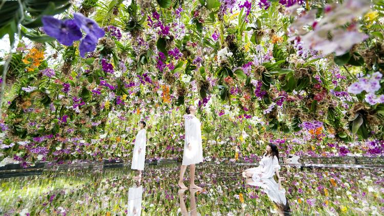 Interact with digital art at teamLab Planets Tokyo