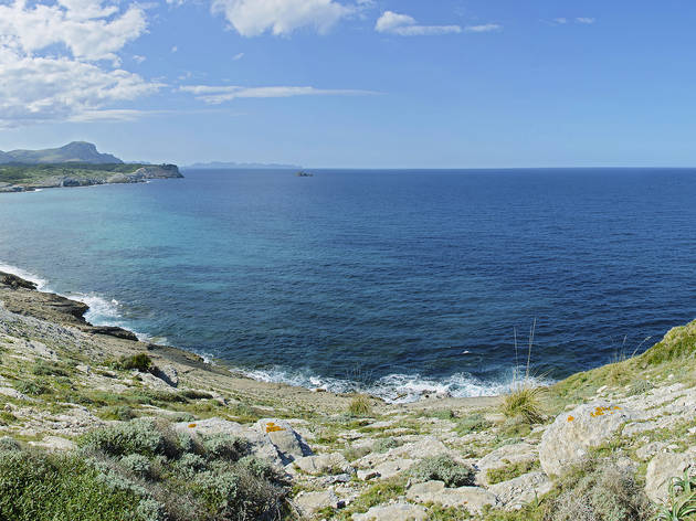 Arenalet des Verger, Mallorca Arenalet des Verger, Mallorca