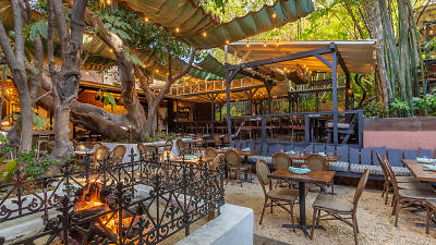 An open bar at Bacari An open bar at Bacari