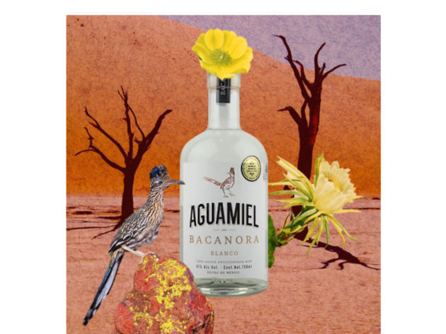 Bacanora Aguamiel Bacanora Aguamiel