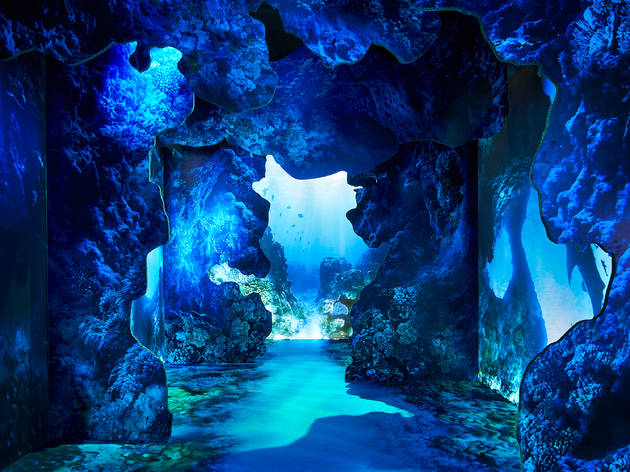 Arcadia Earth Arcadia Earth