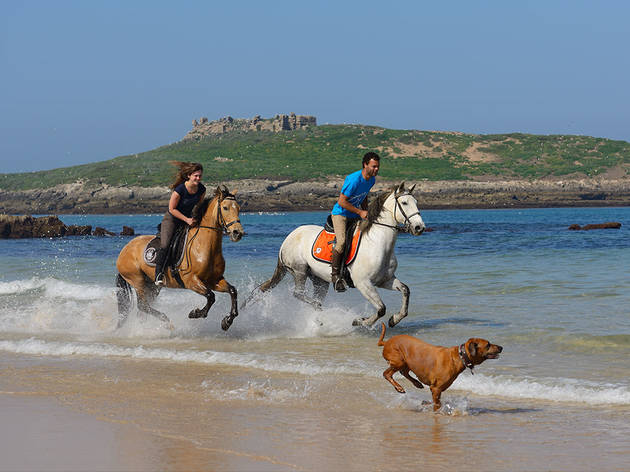 Herdade do Pessegueiro Férias, Hotéis, Herdade do Pessegueiro, Passeio a Cavalo